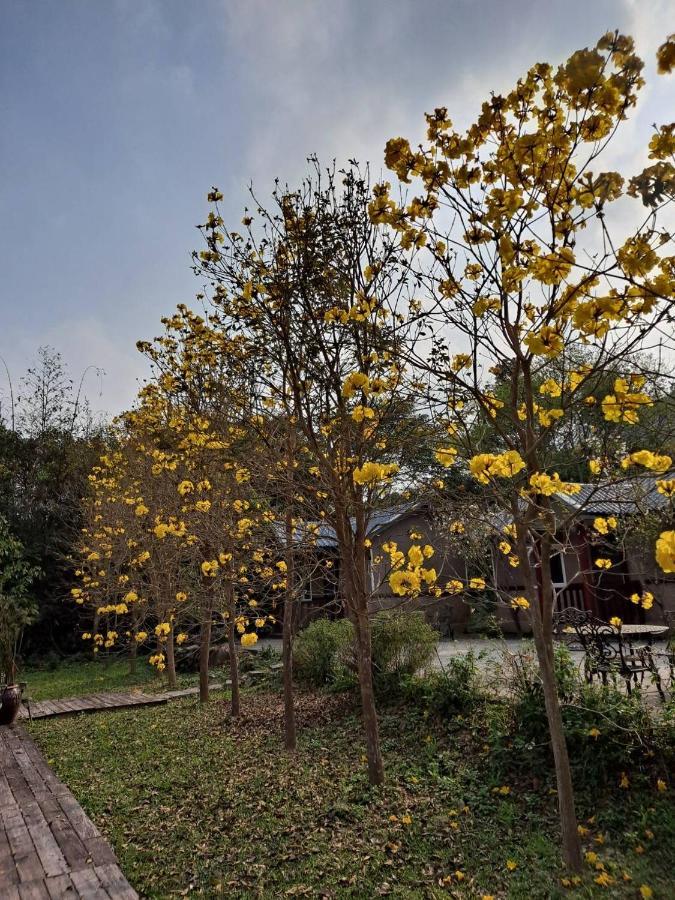 蓬萊生態農場仙山民宿 หนานจวง ภายนอก รูปภาพ